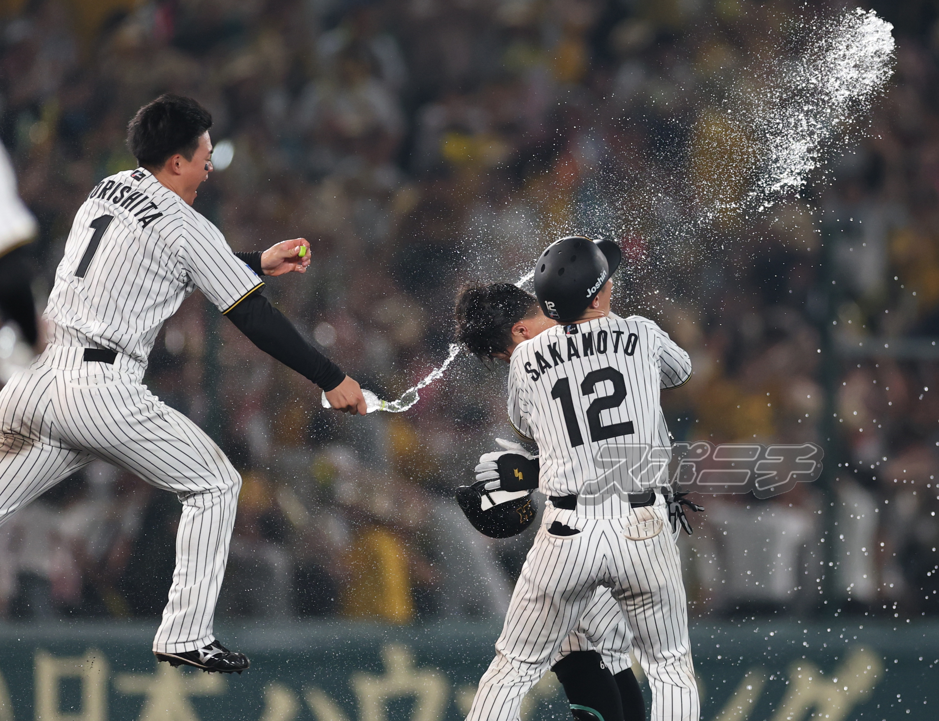 野球大好き🐯ﾀｲｶﾞｰｽ贔屓 (@lovebaseball_tg) / X