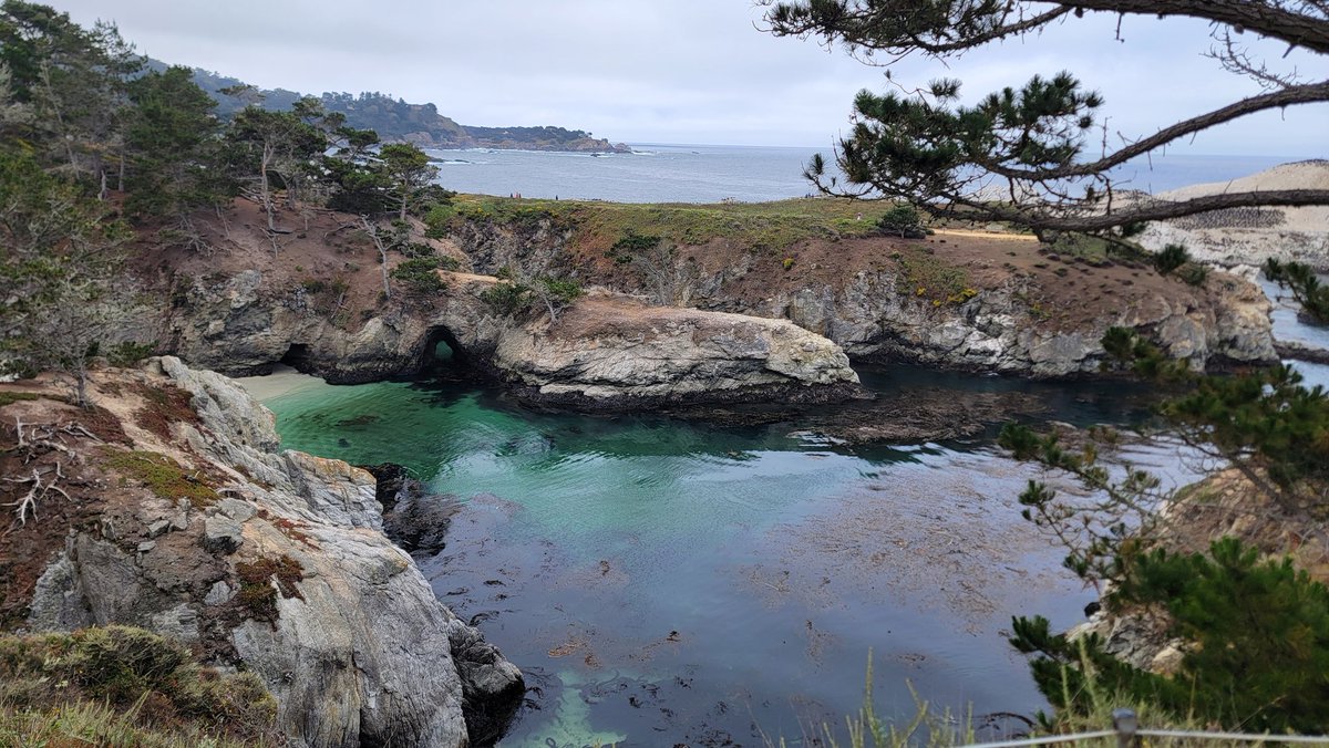 ericninaltowski's tweet image. Visited Carmel by the Sea, a few hours south of San Francisco. This place is incredible!
