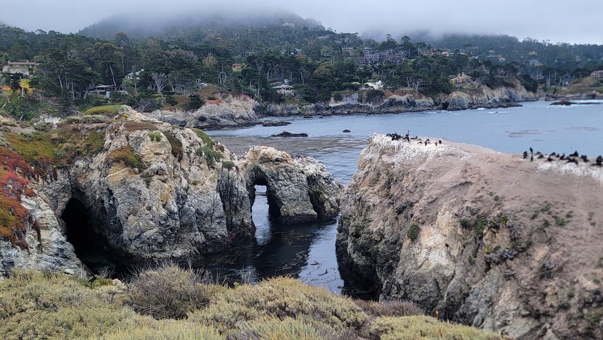 ericninaltowski's tweet image. Visited Carmel by the Sea, a few hours south of San Francisco. This place is incredible!
