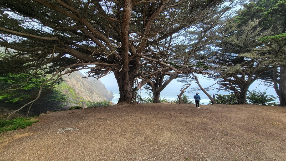 ericninaltowski's tweet image. Visited Carmel by the Sea, a few hours south of San Francisco. This place is incredible!