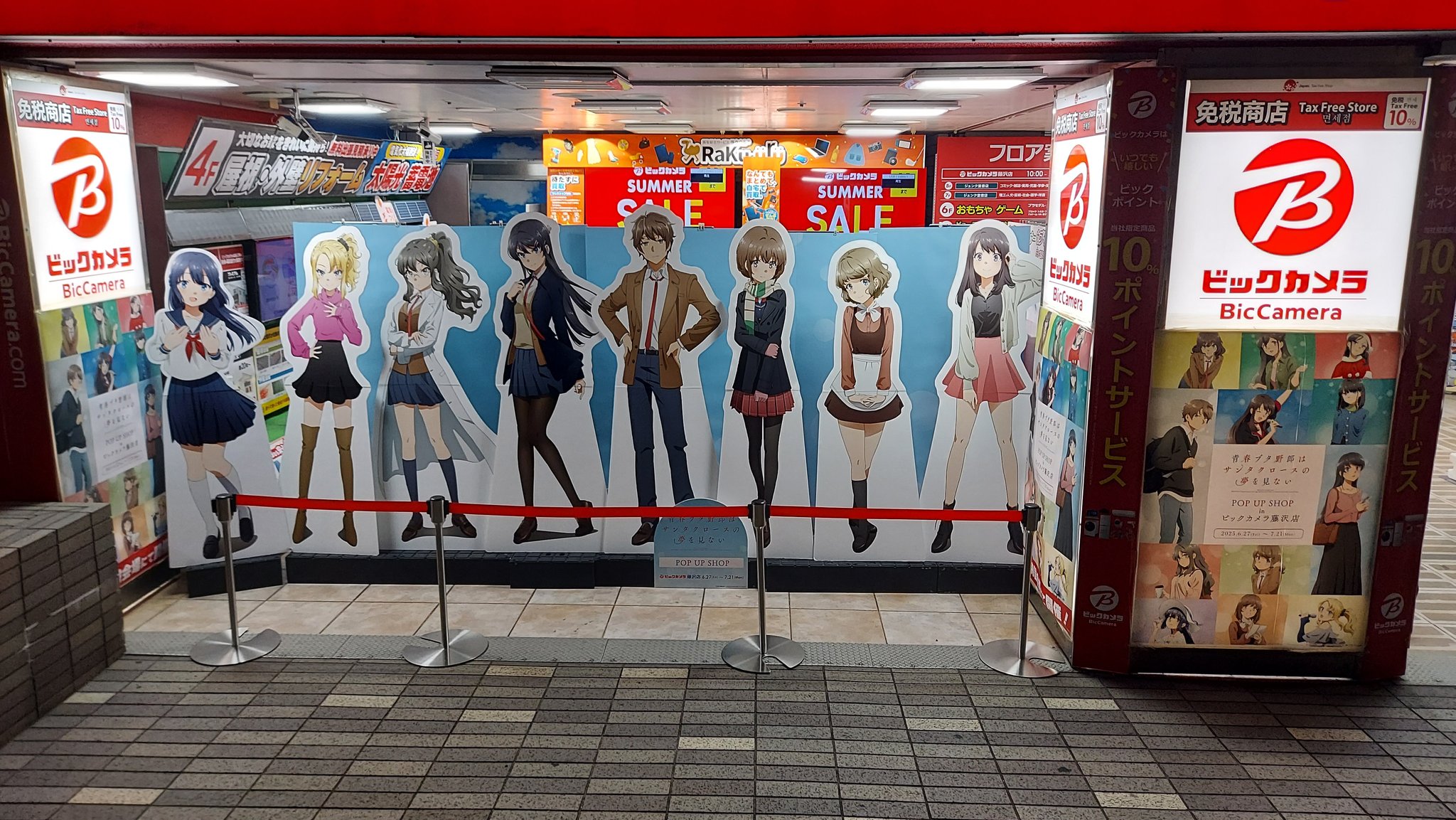 Amazon.co.jp: 青ブタ/原作表紙絵/赤城郁実 A4クリアファイル