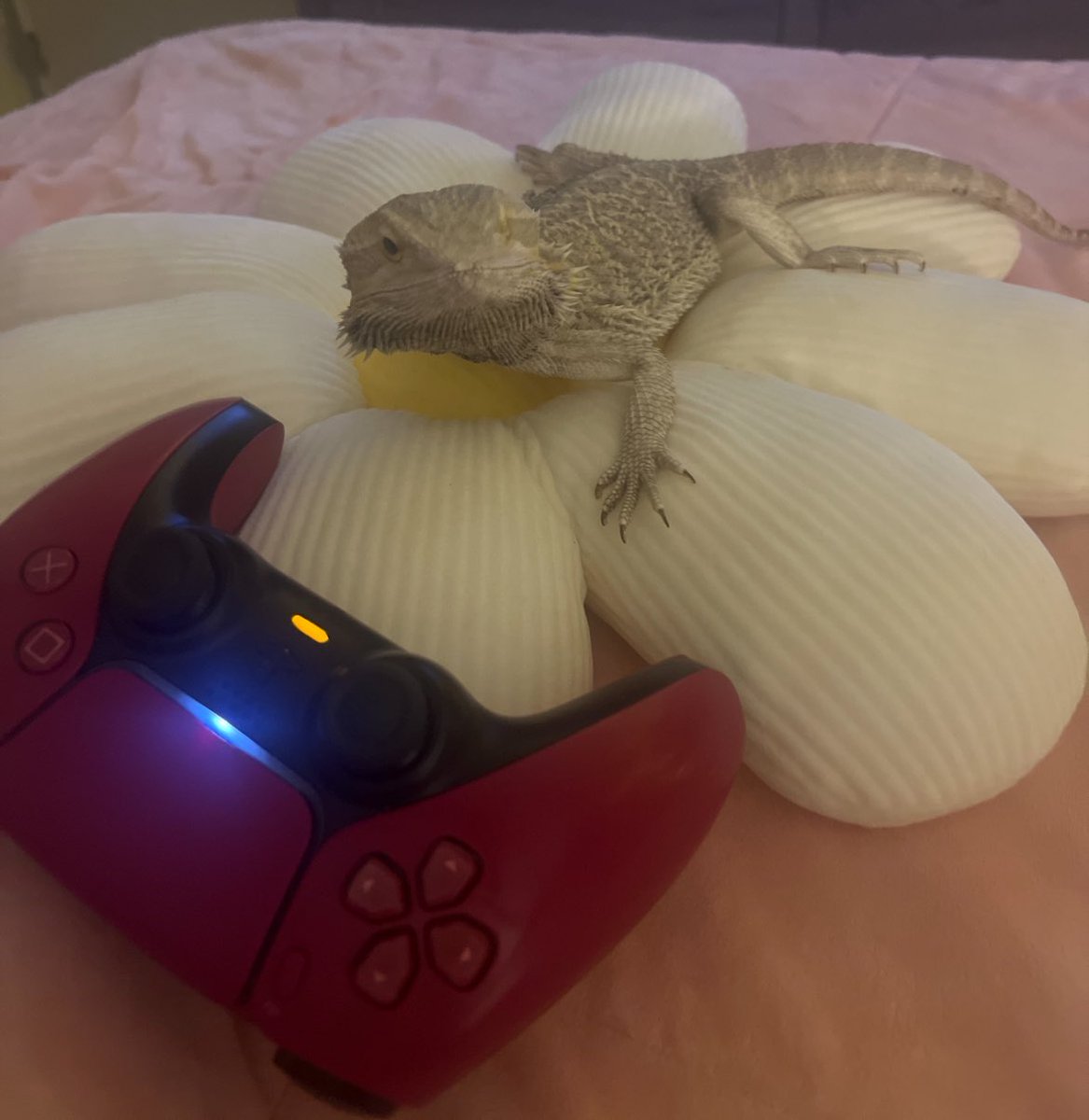 Such a great game