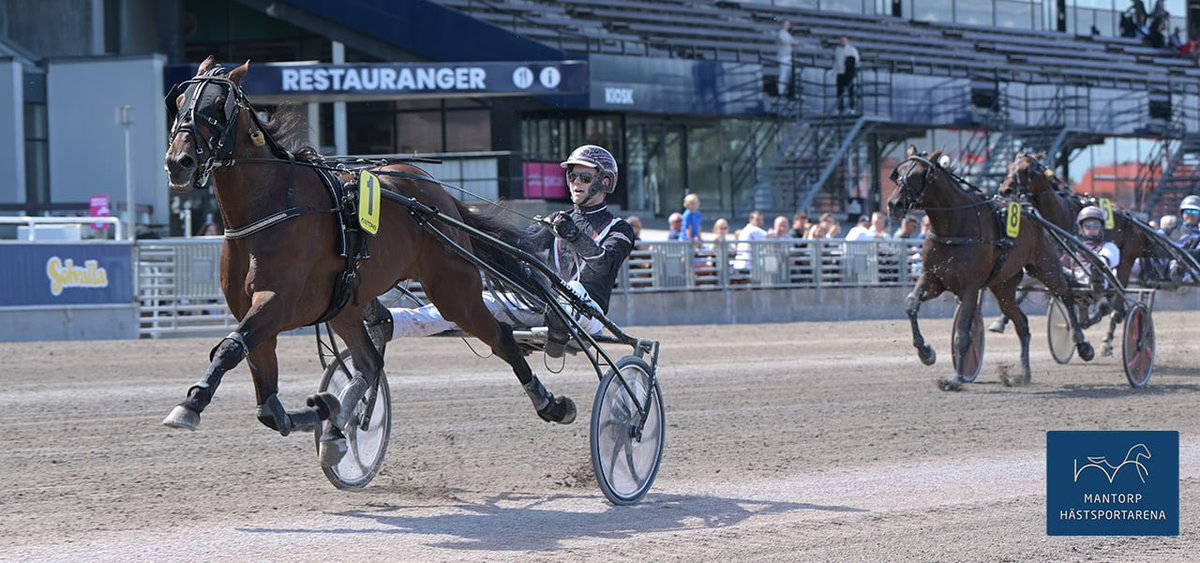 Andra årssegern för Cardin

Jonas Gylling-tränade Cardin vann ett ungdomslopp på Solvalla i söndags. Cardin (bilden) kördes förtjänstfullt av snart 21-årige Alex Persson som därmed tog sin 25:e seger i karriären. Segerreceptet var spets-o-slut.
Läs mer på: mantorphastsportarena.se/nyheter/andraa…