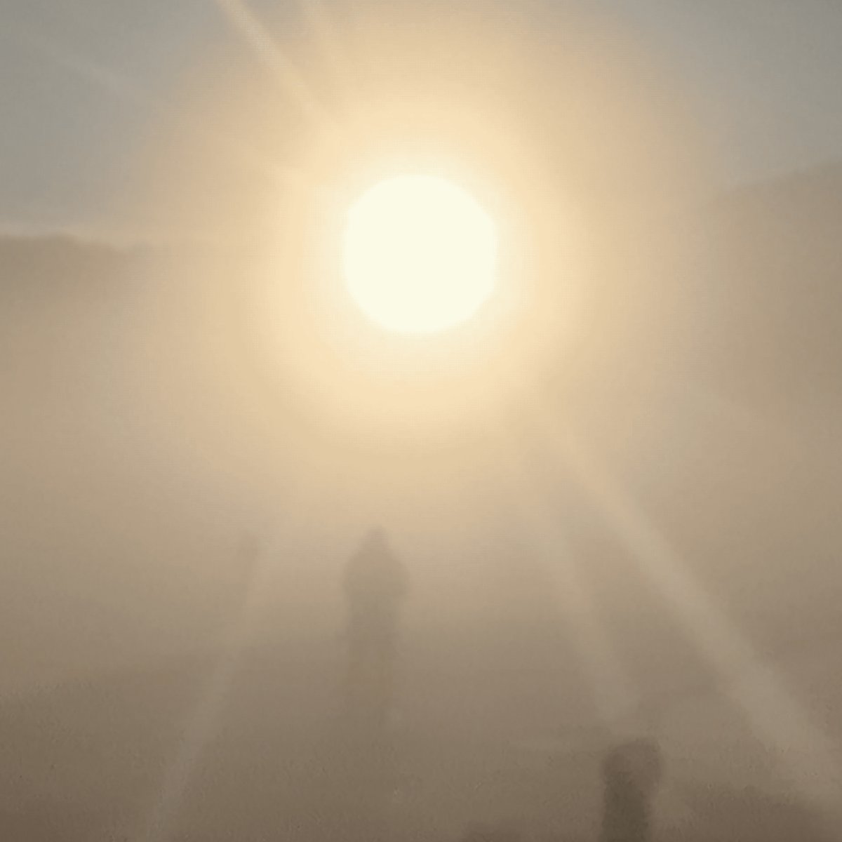 RushHourDistribution (@rhdistribution) on Twitter photo 