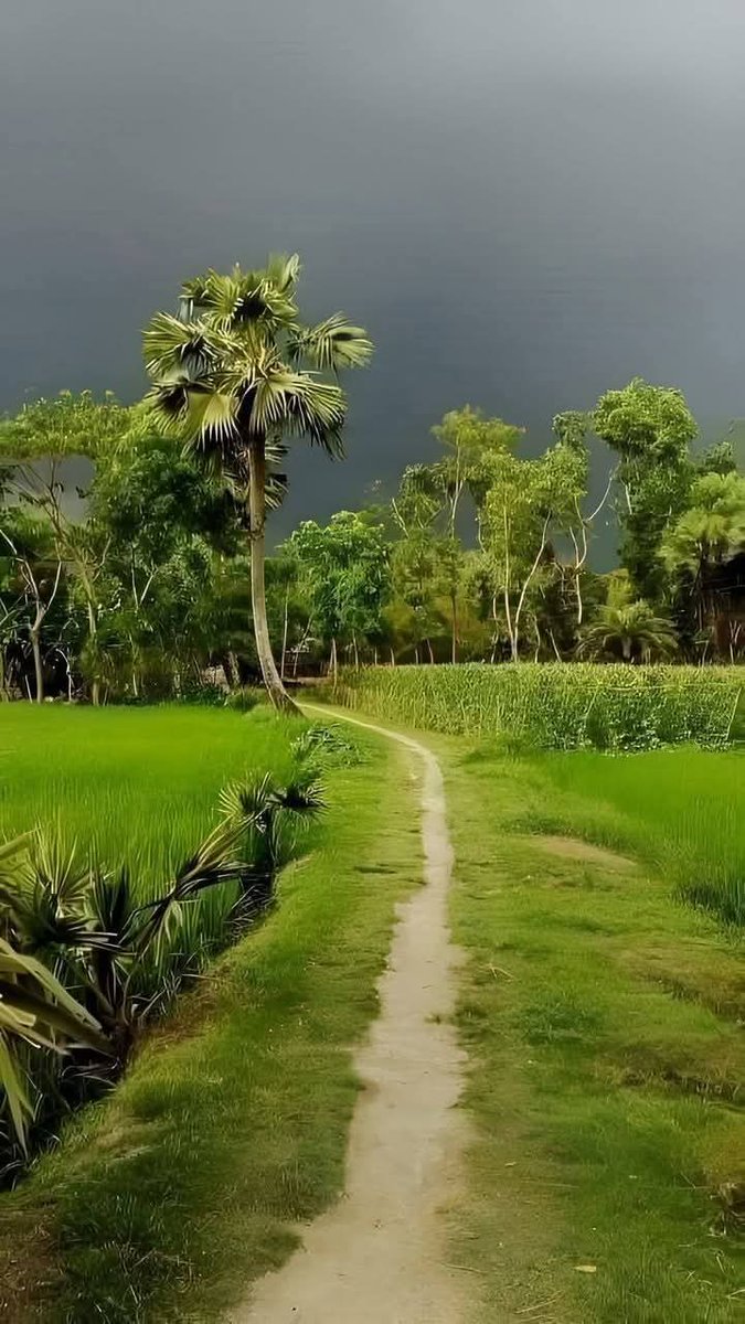 आप नेक काम करते रहे कोई आपको सम्मानित करें या ना करें आपकी अंतरात्मा सदैव आपका सम्मान कहेगी.. 
             शुभ संध्या 🙏