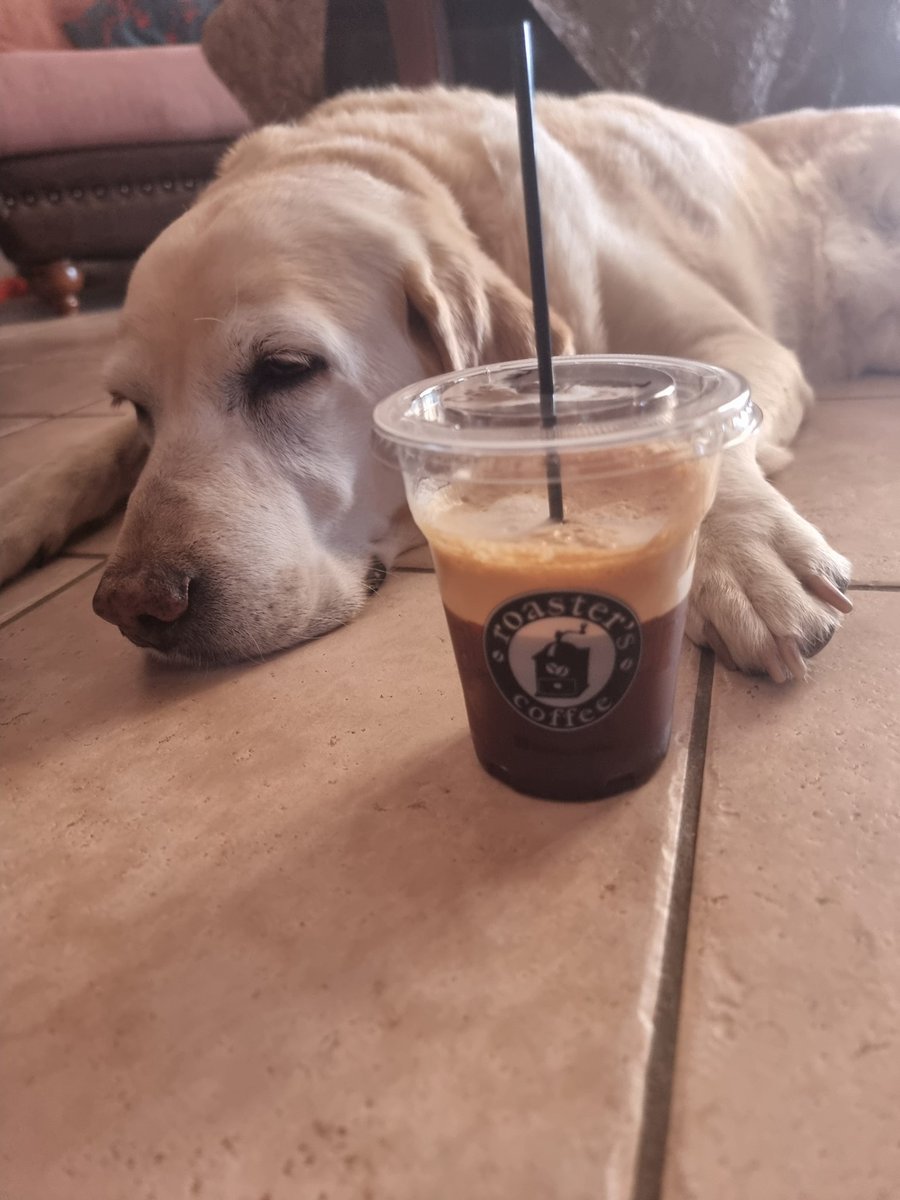 reppasgiorgos's tweet image. #challenge_κατοικιδιο