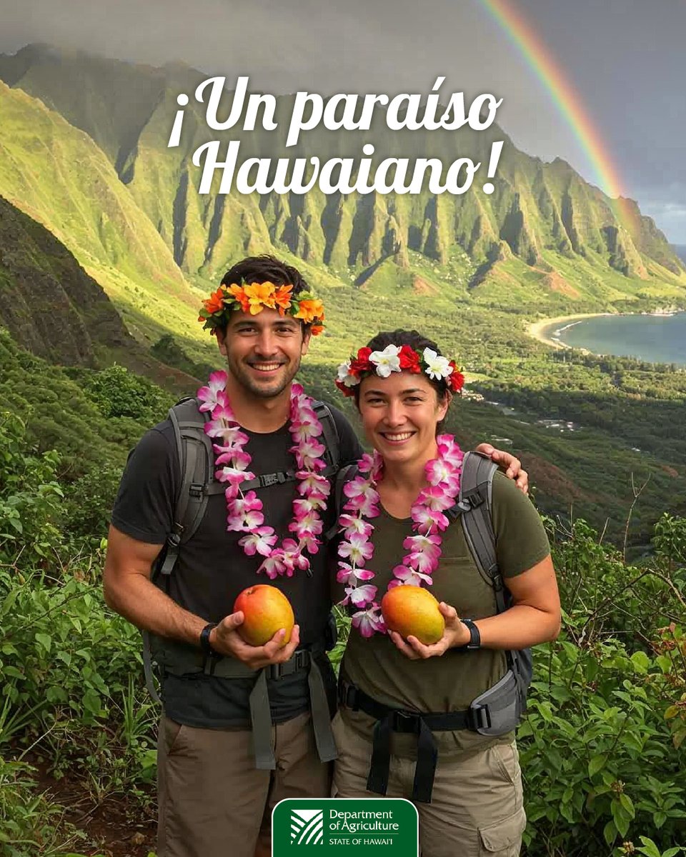 SaborUSA tweet media