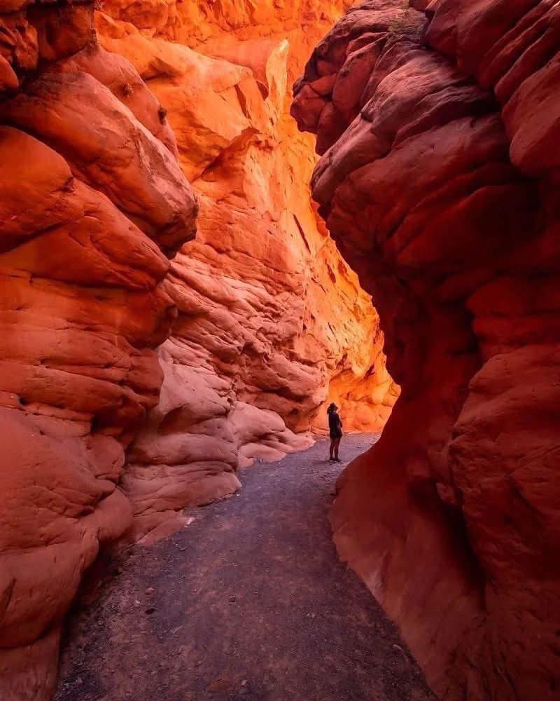 RespiraArg's tweet photo. Un sendero de otro planeta

📍Quebrada de las Señoritas | Uquía | Jujuy https://t.co/GjZy17zMol