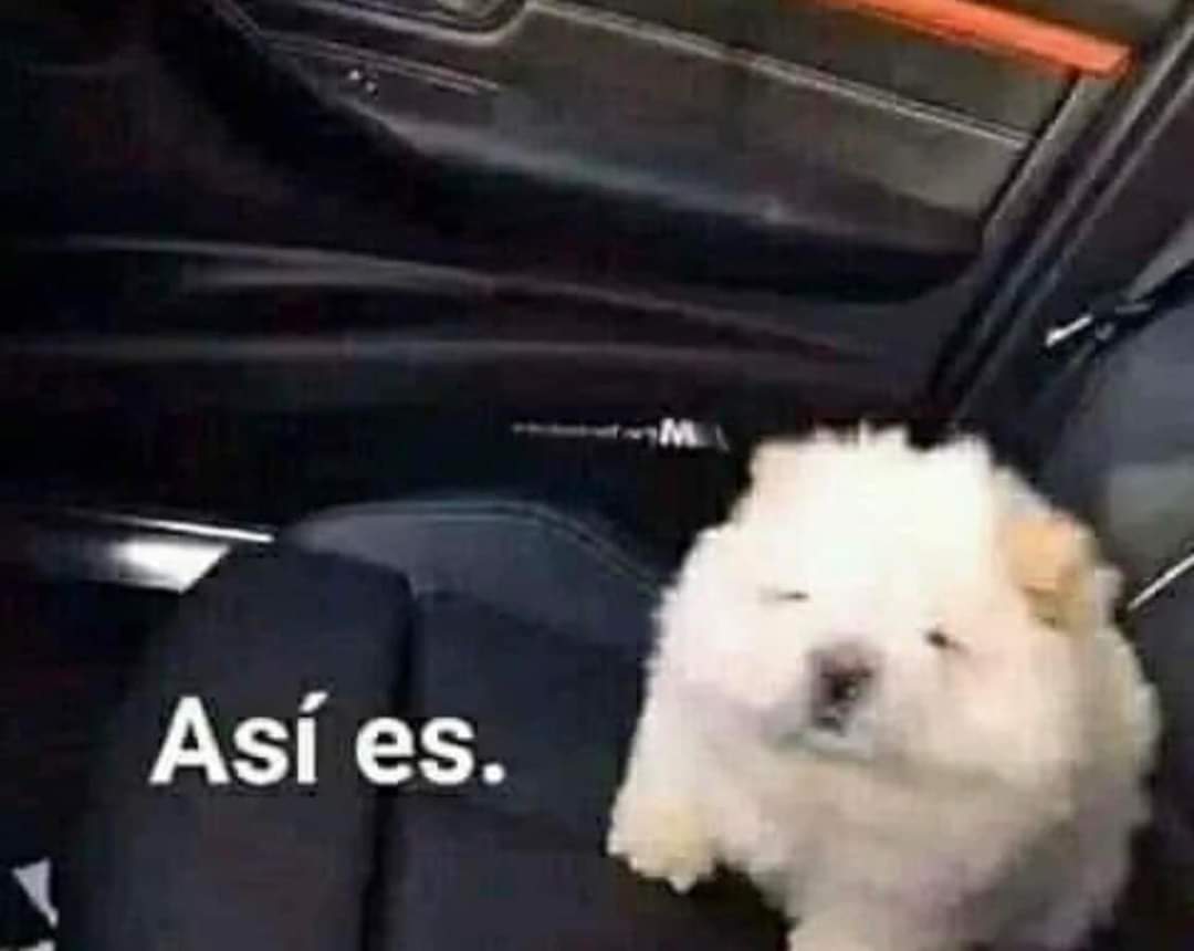 Me llaman loco pero a poco no estaría VRG que existiera una máquina para madurar aguacates 

Sin tener que usar el periódico y el sol, simplemente metes el aguacate y pum 5 minutos y está maduro 

Sería todo un invento revolucionario