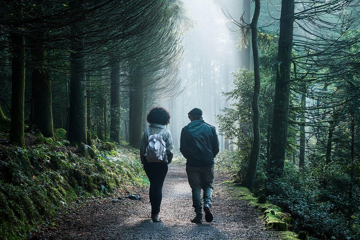 Today’s inhuman society is totally unsustainable, is anti-sustainable. We need to scale down human society in drastic, beyond drastic ways. amoskeppler.substack.com/p/an-enduring-…