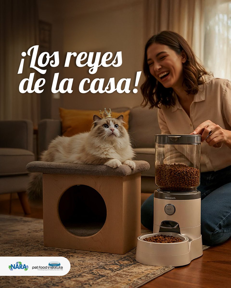 SaborUSA tweet media