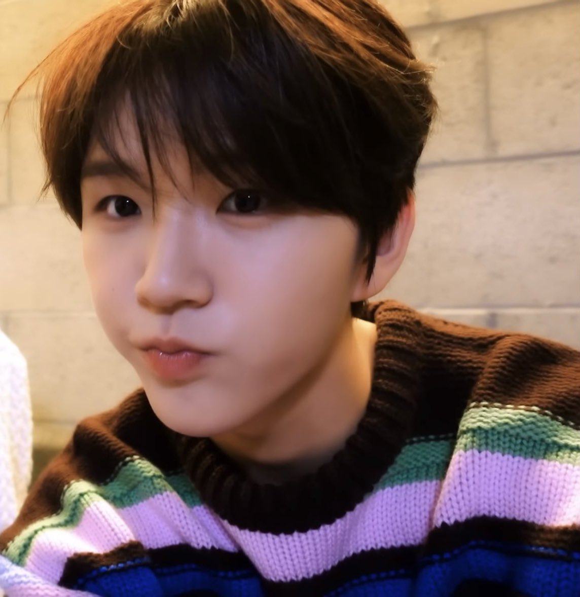 댕른 아카이브 tweet media