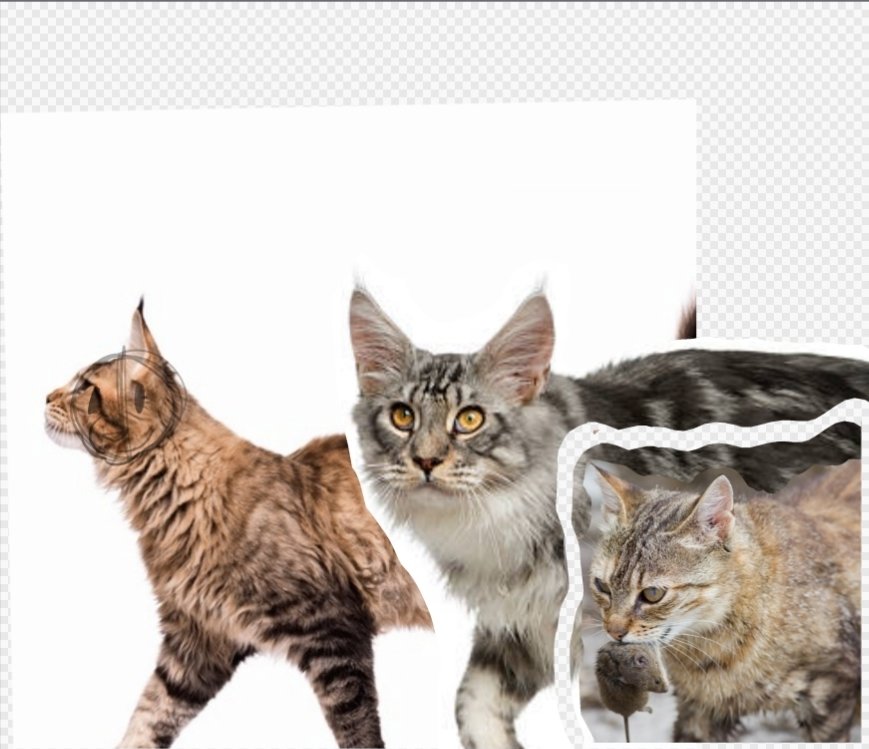 Makin my own reference for art fight be like