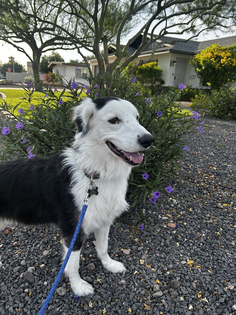 Obama69WithBush's tweet photo. ✨Lumen update ✨ https://t.co/iWiDOLcZ0d