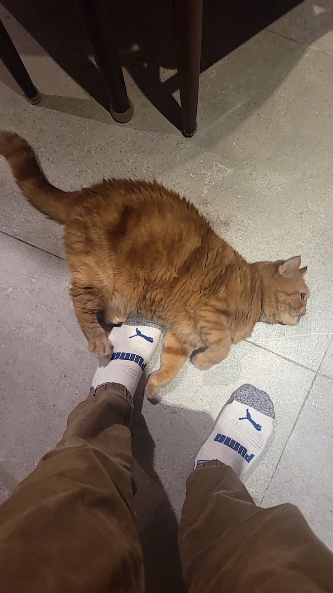 總感覺……變更大了Σ(°Д°;