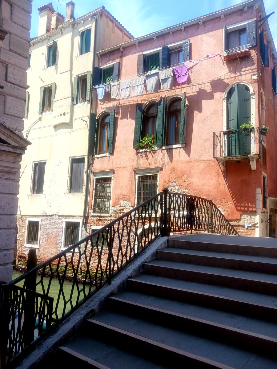 sharon Knott tweet media