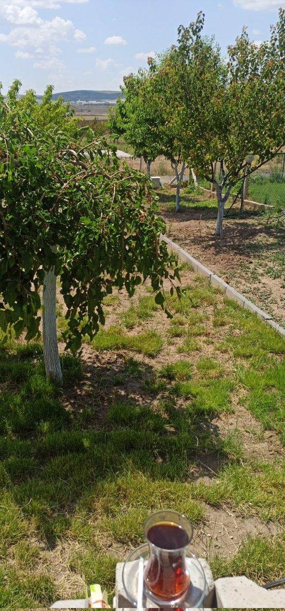 ÜZÜLME !

En azından herkesle hayal kurmaman

              Gerektiğini öğrendin....