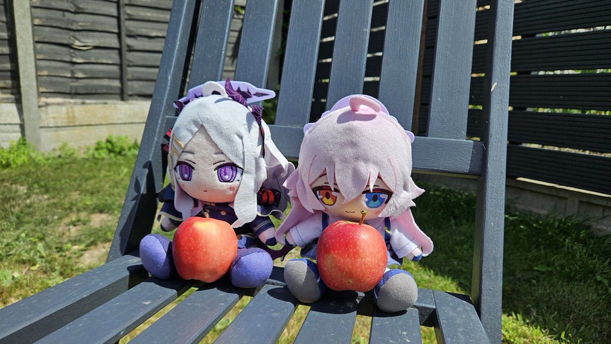 An apple a day keeps Chinatsu and Ayane away 🍎🍏

never kill yourself