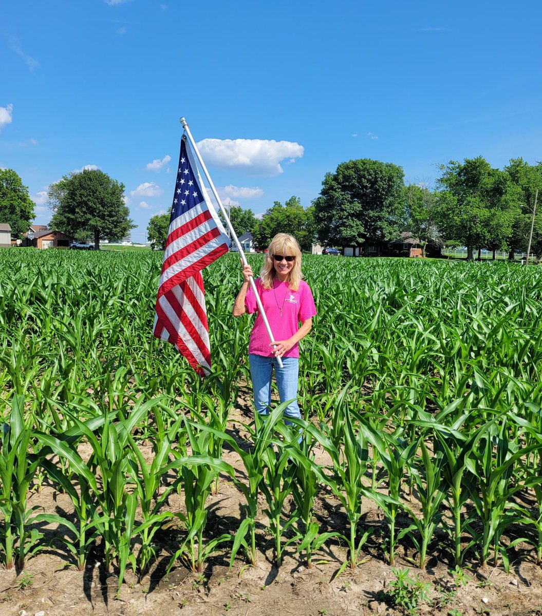 MMServiceFS's tweet image. Status update on #InVISION and #Dekalb plots:
✅ Knee-high by the fourth of July

Planting and growing conditions have varied across the territory, but we are looking forward to seeing how the different varieties perform!