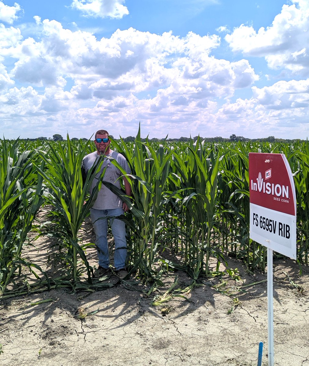 MMServiceFS's tweet image. Status update on #InVISION and #Dekalb plots:
✅ Knee-high by the fourth of July

Planting and growing conditions have varied across the territory, but we are looking forward to seeing how the different varieties perform!