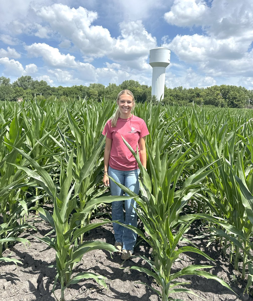 MMServiceFS's tweet image. Status update on #InVISION and #Dekalb plots:
✅ Knee-high by the fourth of July

Planting and growing conditions have varied across the territory, but we are looking forward to seeing how the different varieties perform!