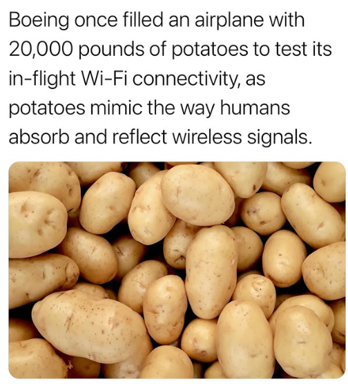 The reason for using potatoes was surprisingly scientific—potatoes have a high water content and similar dielectric properties to the human body, meaning they absorb and reflect radio and wireless signals in much the same way people do.