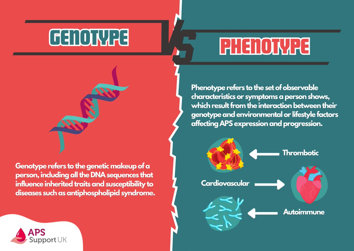 Study finds 3 thrombotic #AntiphospholipidSyndrome #phenotypes marked by #CardiovascularRisk, hypercoagulability, or immune issues, guiding personalised treatment to improve outcomes: pubmed.ncbi.nlm.nih.gov/40518049 #Thrombosis #APS