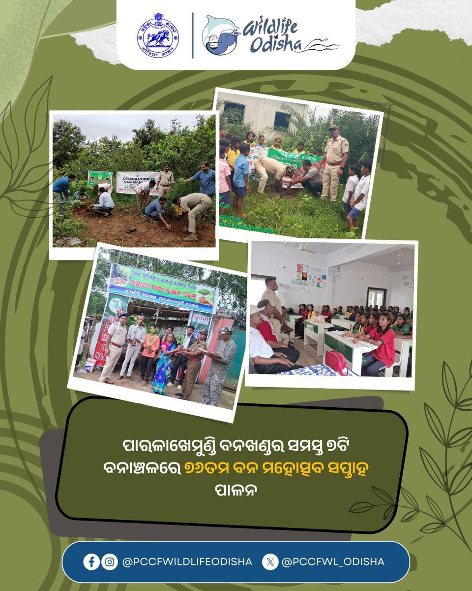 PCCF WL & CWLW, Odisha (@pccfwl_odisha) on Twitter photo рмкрм╛рм░рм│рм╛рмЦрнЗрморнБрмгрнНрмбрм┐ рммрмирмЦрмгрнНрмбрм░ рм╕рморм╕рнНрмд рннрмЯрм┐ рммрмирм╛рмЮрнНрмЪрм│рм░рнЗ рннрнмрмдрмо рммрми рморм╣рнЛрмдрнНрм╕рмм рм╕рмкрнНрмдрм╛рм╣ рмкрм╛рм│рми рмХрм░рм╛рмпрм╛рмЗрмЫрм┐ ред рмжрнНрн▒рм┐рмдрнАрнЯ рмжрм┐рмирм░рнЗ, "рморм╛' рмкрм╛рмЗрмБ рмЧрмЫрмЯрм┐рмП " рмЕрмзрнАрмирм░рнЗ рм╕рм░рмкрмЮрнНрмЪ, PRI рм╕рмжрм╕рнНрнЯ, рм╕рнНрмХрнБрм▓ рм╢рм┐рмХрнНрм╖рмХ, рмЫрм╛рмдрнНрм░рмЫрм╛рмдрнНрм░рнА, рм╕рнНрн▒рнЯрмВ рм╕рм╣рм╛рнЯрмХ рмЧрнЛрм╖рнНрмарнА рмПрммрмВ VSS рм╕рмжрм╕рнНрнЯрмЩрнНрмХ рмЙрмкрм╕рнНрмерм┐рмдрм┐рм░рнЗ рммрнГрмХрнНрм╖ рм░рнЛрмкрмг рмХрм░рм╛рмпрм╛рмЗрмЫрм┐ ред
<a href="/ForestDeptt/">Odisha Forest, Env. and Climate Change Department</a>
#VanMahotsav2025 #GreenMission рмкрм╛рм░рм│рм╛рмЦрнЗрморнБрмгрнНрмбрм┐ рммрмирмЦрмгрнНрмбрм░ рм╕рморм╕рнНрмд рннрмЯрм┐ рммрмирм╛рмЮрнНрмЪрм│рм░рнЗ рннрнмрмдрмо рммрми рморм╣рнЛрмдрнНрм╕рмм рм╕рмкрнНрмдрм╛рм╣ рмкрм╛рм│рми рмХрм░рм╛рмпрм╛рмЗрмЫрм┐ ред рмжрнНрн▒рм┐рмдрнАрнЯ рмжрм┐рмирм░рнЗ, "рморм╛' рмкрм╛рмЗрмБ рмЧрмЫрмЯрм┐рмП " рмЕрмзрнАрмирм░рнЗ рм╕рм░рмкрмЮрнНрмЪ, PRI рм╕рмжрм╕рнНрнЯ, рм╕рнНрмХрнБрм▓ рм╢рм┐рмХрнНрм╖рмХ, рмЫрм╛рмдрнНрм░рмЫрм╛рмдрнНрм░рнА, рм╕рнНрн▒рнЯрмВ рм╕рм╣рм╛рнЯрмХ рмЧрнЛрм╖рнНрмарнА рмПрммрмВ VSS рм╕рмжрм╕рнНрнЯрмЩрнНрмХ рмЙрмкрм╕рнНрмерм┐рмдрм┐рм░рнЗ рммрнГрмХрнНрм╖ рм░рнЛрмкрмг рмХрм░рм╛рмпрм╛рмЗрмЫрм┐ ред
<a href="/ForestDeptt/">Odisha Forest, Env. and Climate Change Department</a>
#VanMahotsav2025 #GreenMission