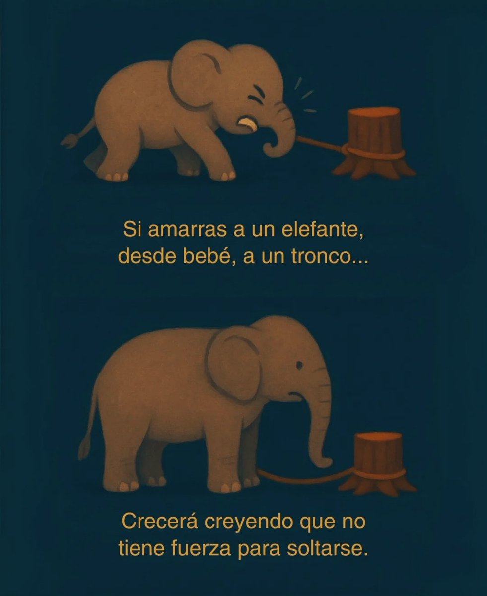 AtencionYoSoy's tweet photo. 😥¿Vives atrapado por limitaciones que te impusieron de pequeño?

¿Y que tal si te digo que no tienes que creer mas en lo que te limita?

Descubre como liberarte en este hilo

🧵-🧵👇 https://t.co/ufxlV3350x
