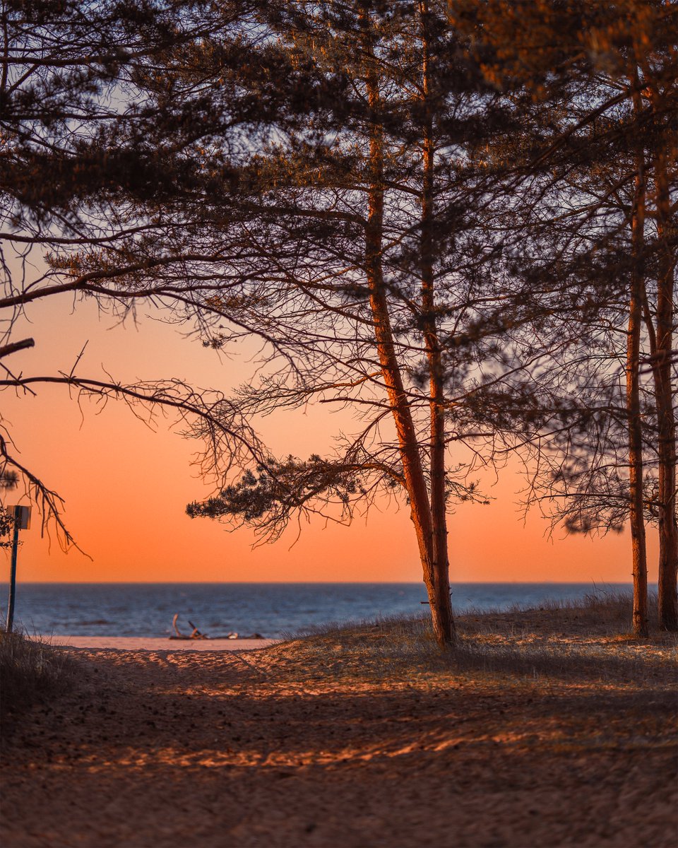 Gdzie lepiej spędzić letni wieczór, jeśli nie na plaży w naszym mieście? 😍🌇
#gdansk #ilovegdn
📸 Shimo Niak