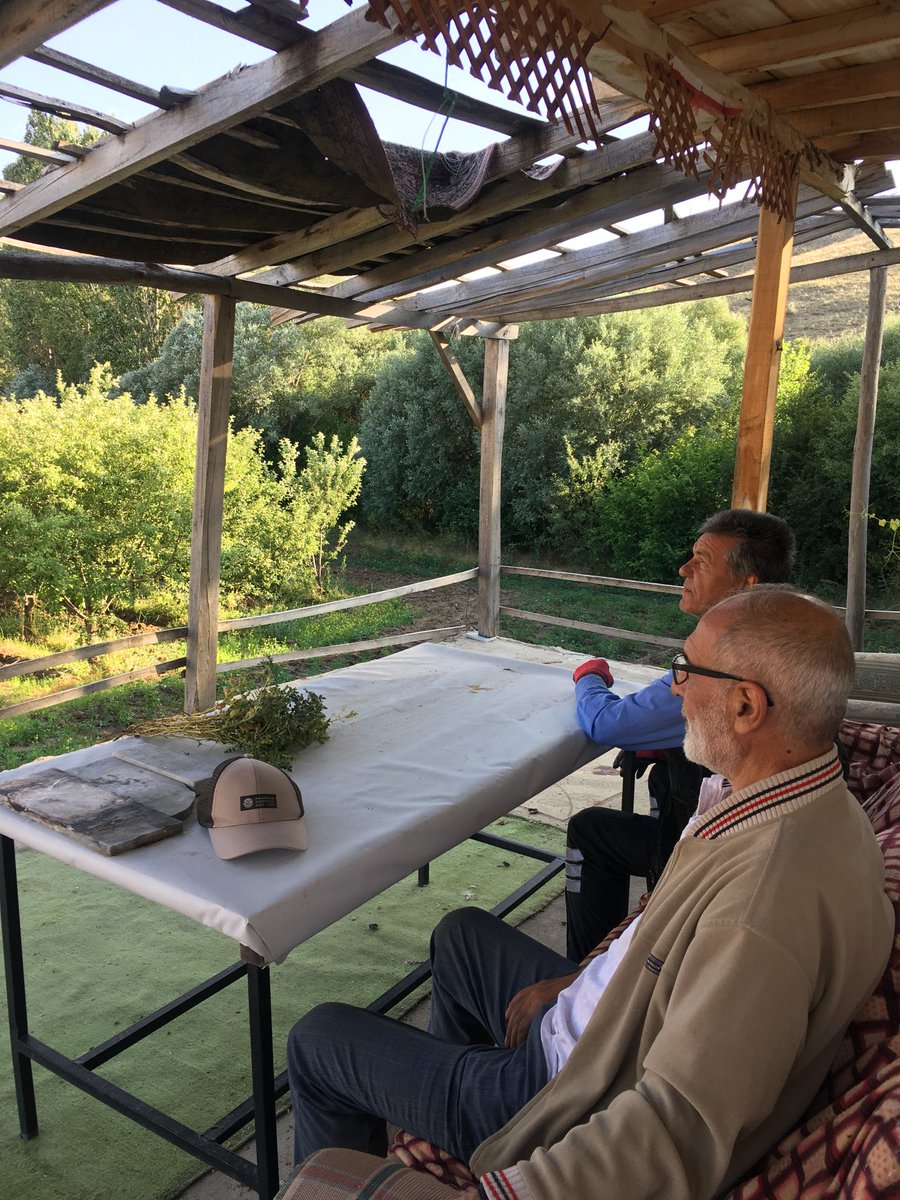 Bozok yaylasından geçtiğim doğrudur.