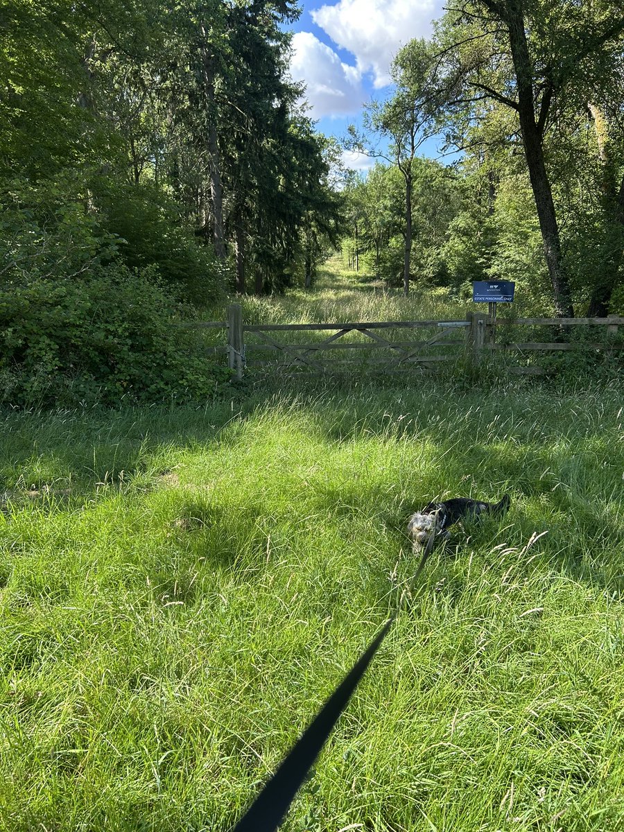 Kettering Wildlife corner tweet media