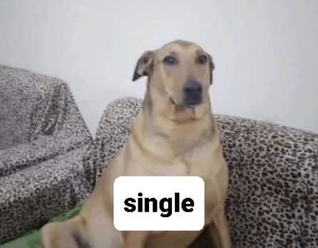 فسدق و مُنى 🐱 (@monaistalking) on Twitter photo 