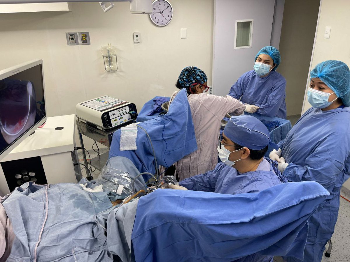 Lamidey-Noury (@lamideynoury) on Twitter photo Another successful #PlasmaEDGE demo at @SemequiClínica in Mexico City 🇲🇽
Thanks to TEP & Drs. González, Durán & Vázquez for showcasing a smooth TURP switch from another system to our safe, bipolar tech.
🔗 For demos: info@lamidey-noury.fr
#LamideyNoury #UrologyInnovation #TURP Another successful #PlasmaEDGE demo at @SemequiClínica in Mexico City 🇲🇽
Thanks to TEP & Drs. González, Durán & Vázquez for showcasing a smooth TURP switch from another system to our safe, bipolar tech.
🔗 For demos: info@lamidey-noury.fr
#LamideyNoury #UrologyInnovation #TURP