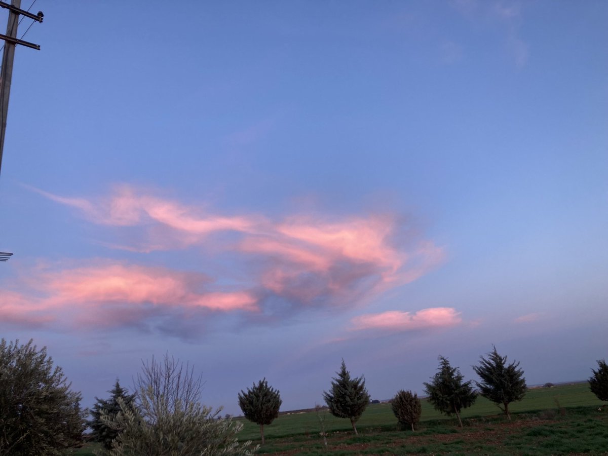 Anlamıyorsunuz bayımm benim gökyüzümde pembe bulutlar yok