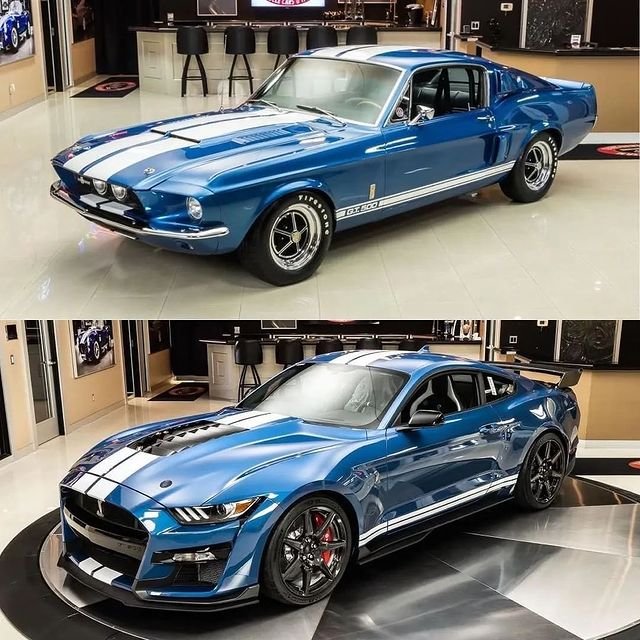 Top or Bottom 🤔