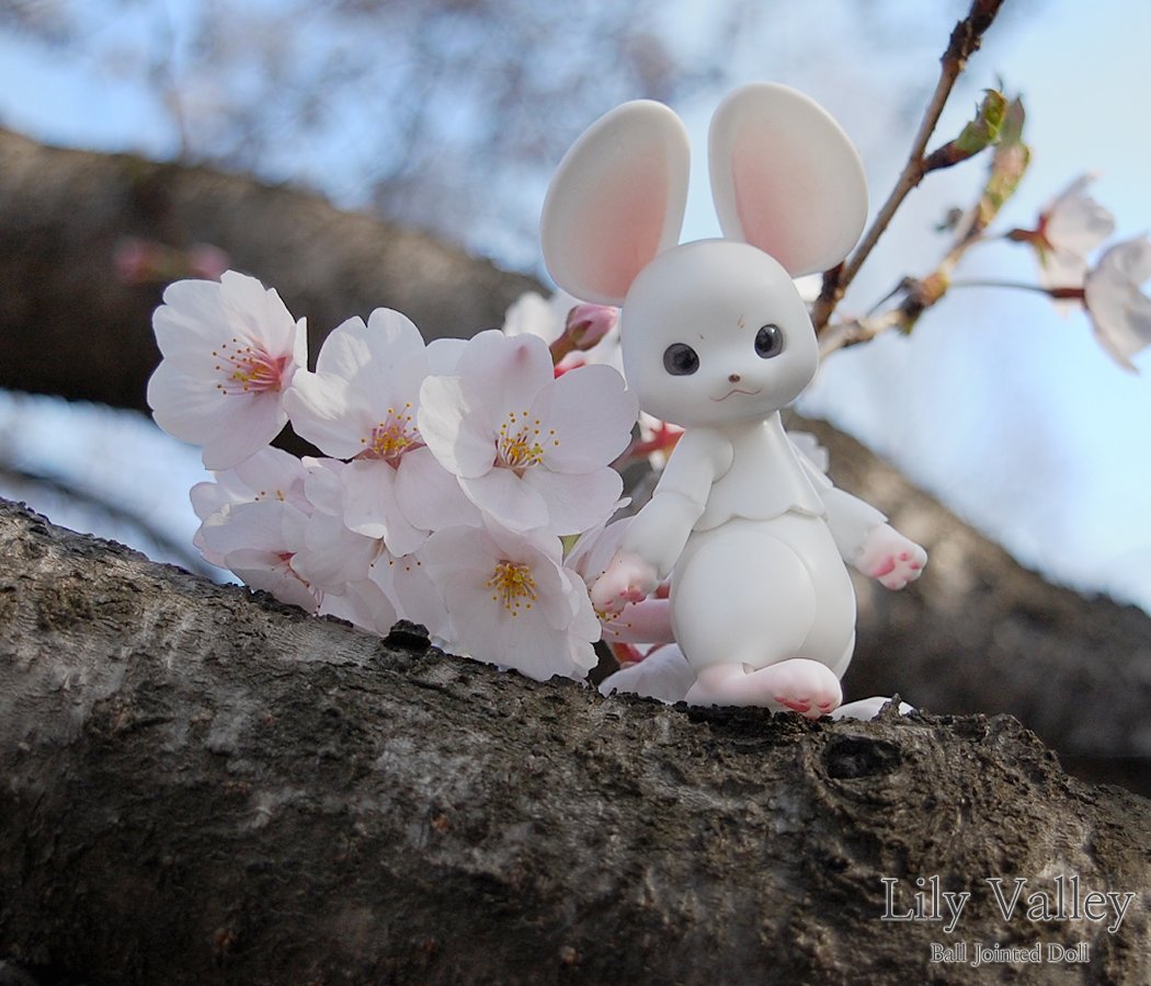 저희집 강아지가 수술 예정이었으나, 상태가 많이 호전되어 비수술 퇴원하였습니다!

기쁜마음으로 RT해주시는 분들에게 앙쮸 화이트 스킨을 보내드리겠습니다!
당발은 이번주 주말에 하겠습니다. 감사합니다:)
#RT이벤트_추첨 #RT이벤트 #스텔라테일 #stellatail