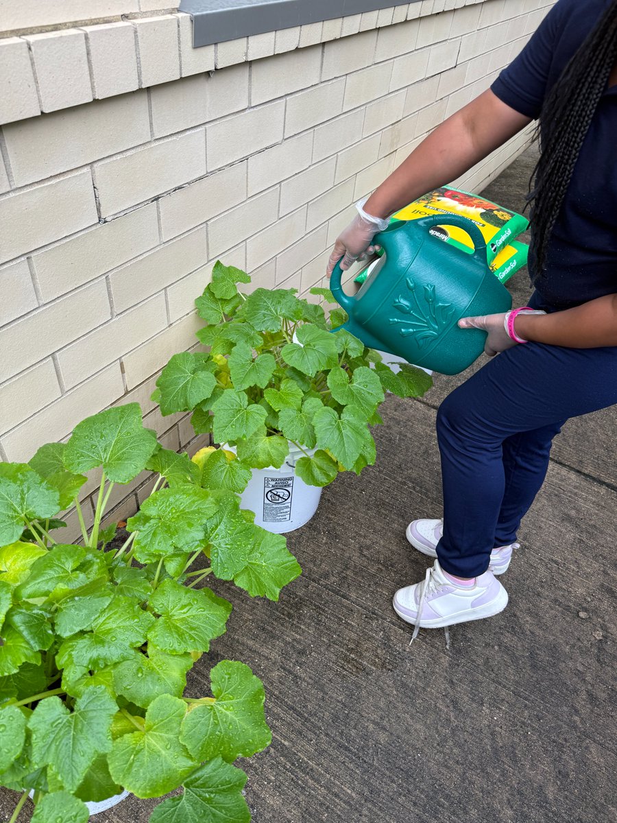 Foundation Schools tweet media