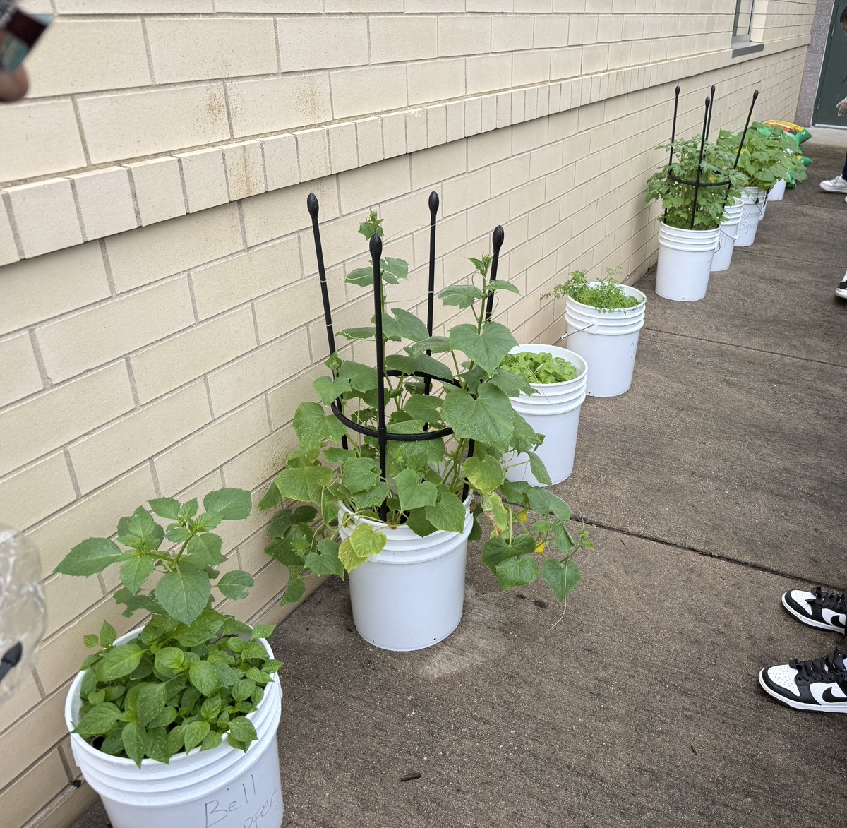 Foundation Schools tweet media