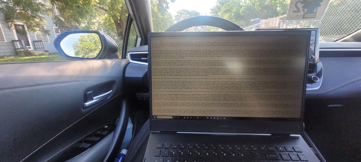 "Turgid wrote the majority of the book on his laptop sitting in the driver's seat of his car."