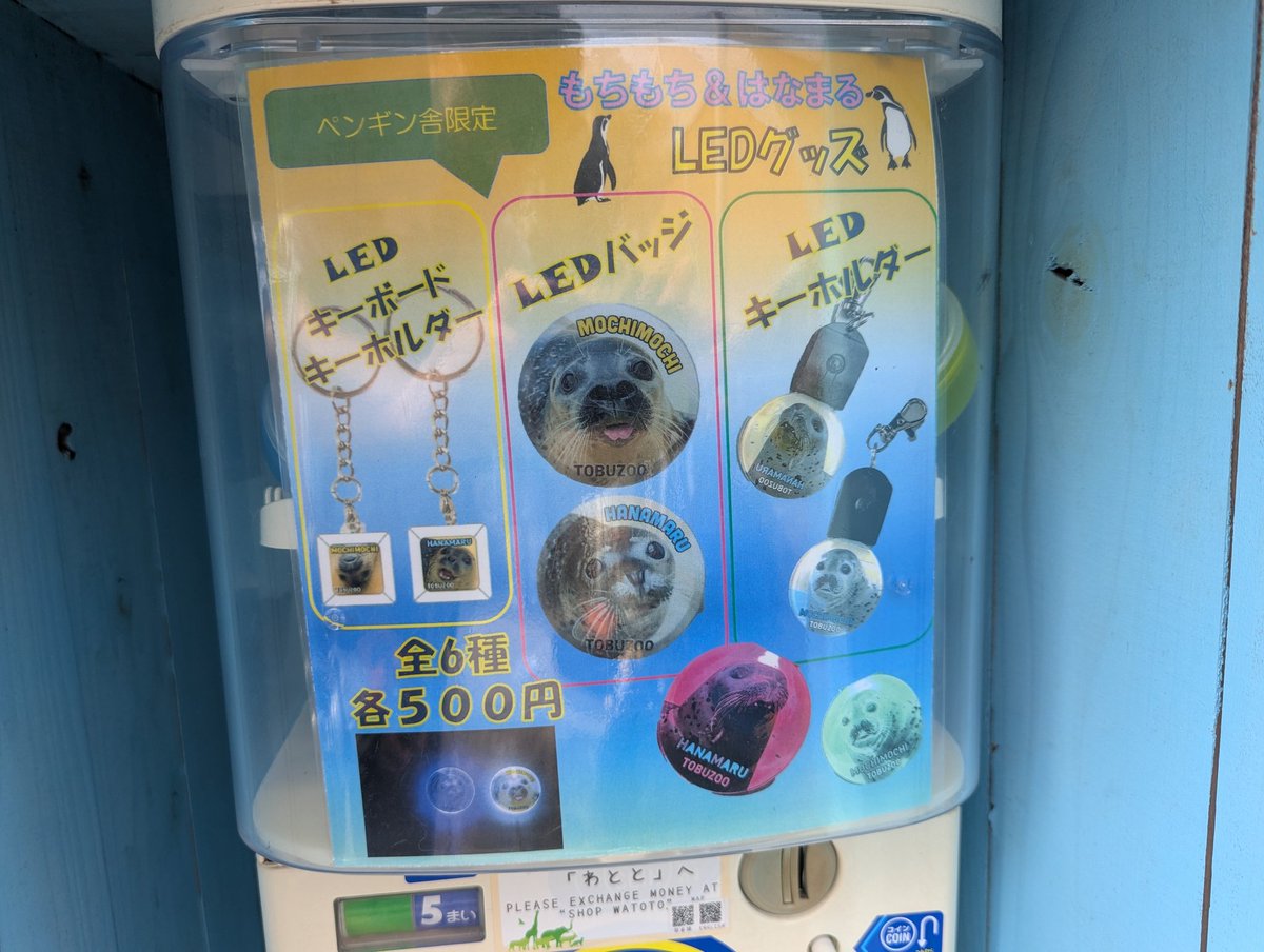 注）ペンギン舎内にあります
#東武動物公園 
#ゴマフアザラシ 
#1日1もちもち