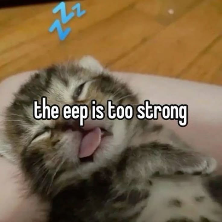 LUFFY (@rufinoumi) on Twitter photo 