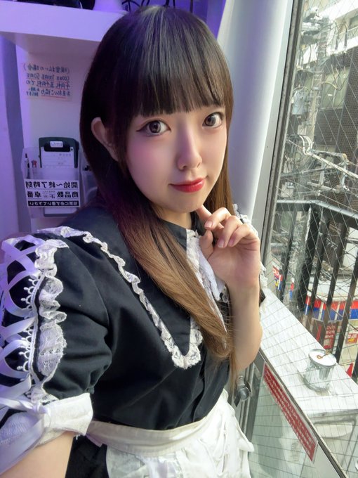 ルナパラドックス　本館・別館・ラボのツイート