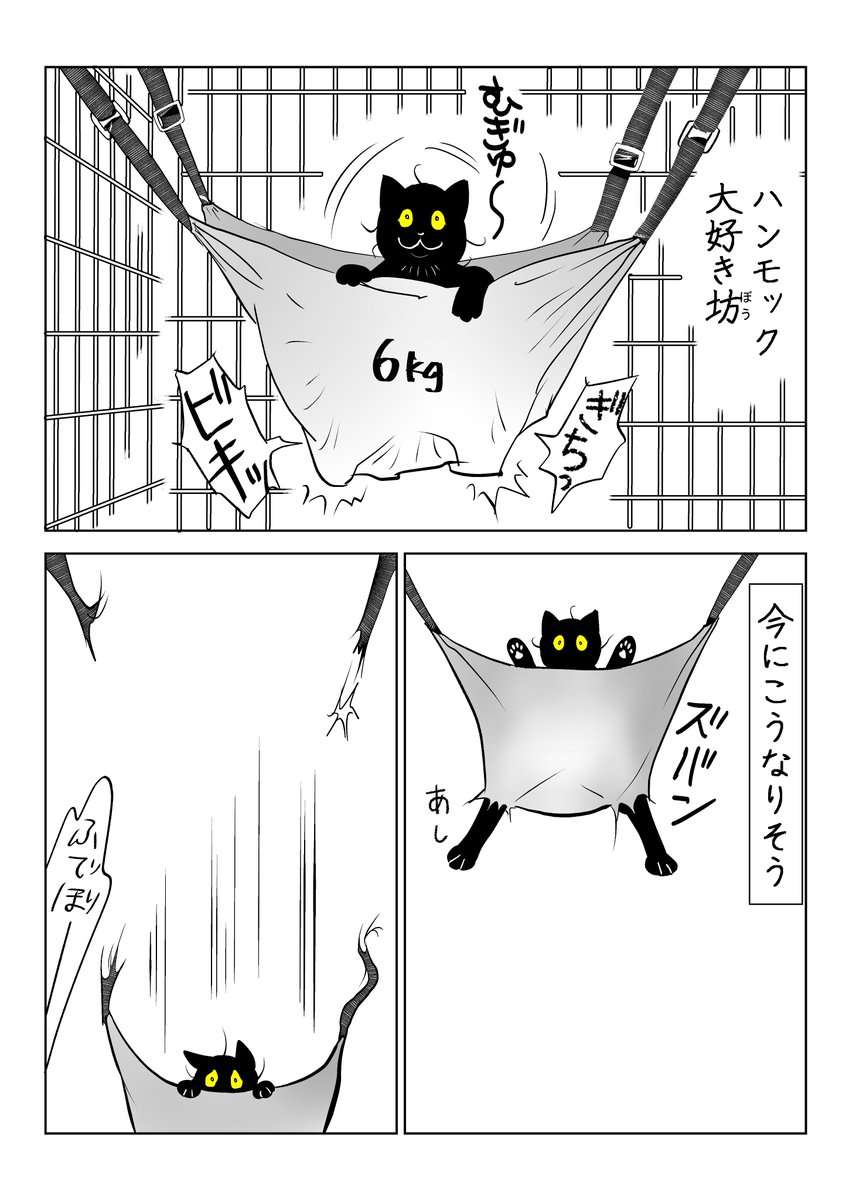 快楽に溺れる猫 まとめ

(3/8) 