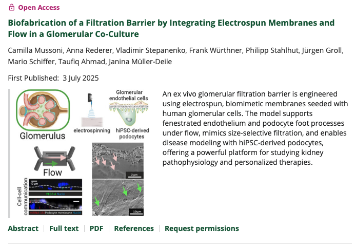 Camilla Mussoni (@camillamussoni) on Twitter photo NEW PUBLICATION!
my first first authorship is finally online on <a href="/WileyGlobal/">Wiley</a> <a href="/AdvPortfolio/">Advanced Portfolio News</a> Advanced Healthcare Materials. Thanks to my co-author Anna and supervisors <a href="/taufiqbiotech/">Taufiq Ahmad</a> for the work done in <a href="/SFB_TRR225/">TRR225Biofab</a>
advanced.onlinelibrary.wiley.com/doi/10.1002/ad⦠NEW PUBLICATION!
my first first authorship is finally online on <a href="/WileyGlobal/">Wiley</a> <a href="/AdvPortfolio/">Advanced Portfolio News</a> Advanced Healthcare Materials. Thanks to my co-author Anna and supervisors <a href="/taufiqbiotech/">Taufiq Ahmad</a> for the work done in <a href="/SFB_TRR225/">TRR225Biofab</a>
advanced.onlinelibrary.wiley.com/doi/10.1002/adā¦