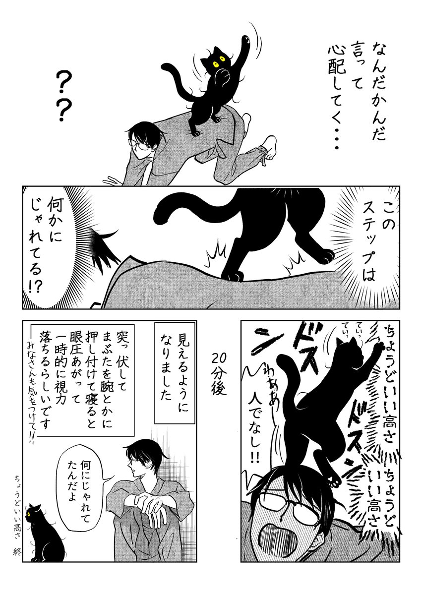 快楽に溺れる猫 まとめ

(6/8) 