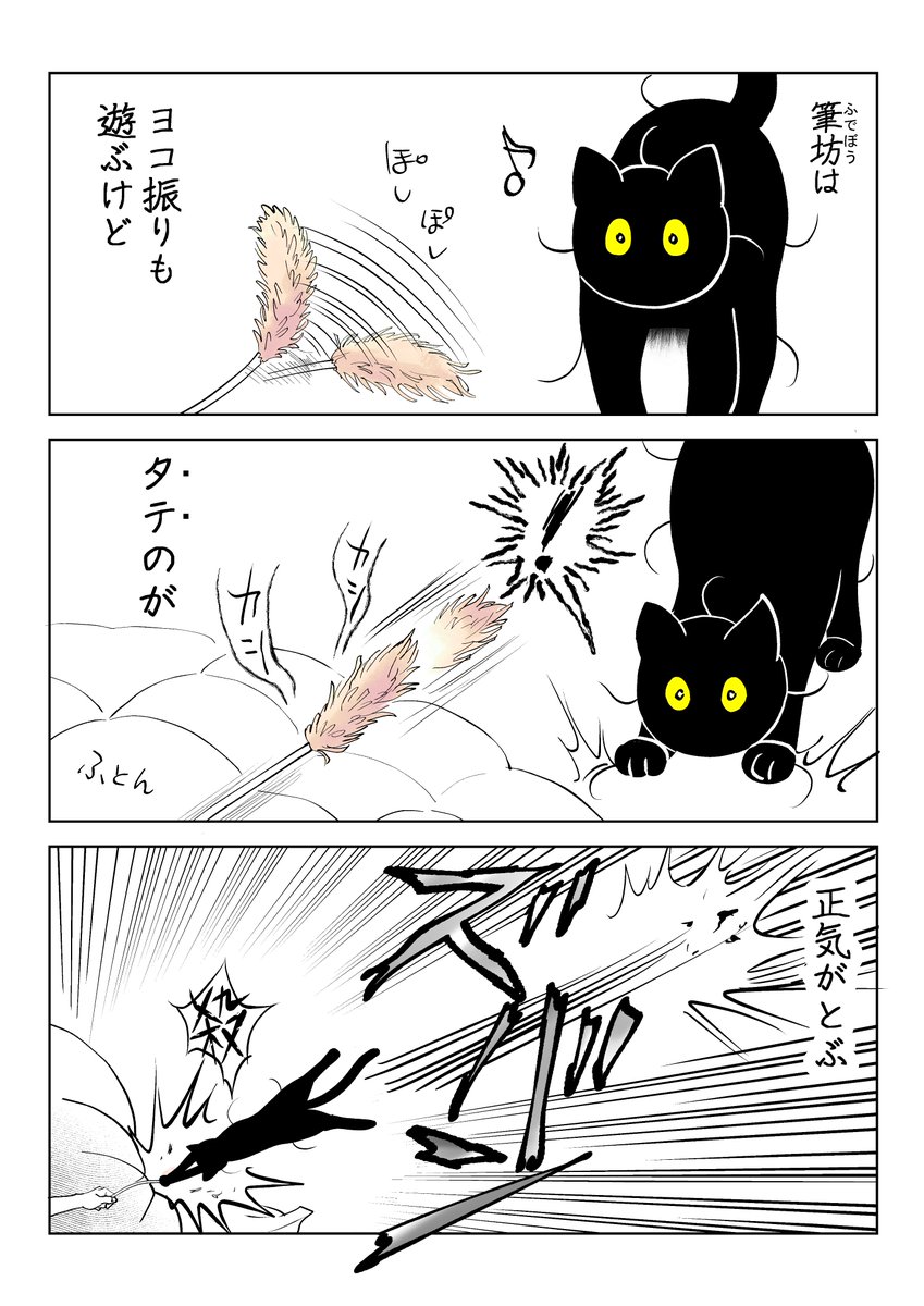 快楽に溺れる猫 まとめ

(6/8) 
