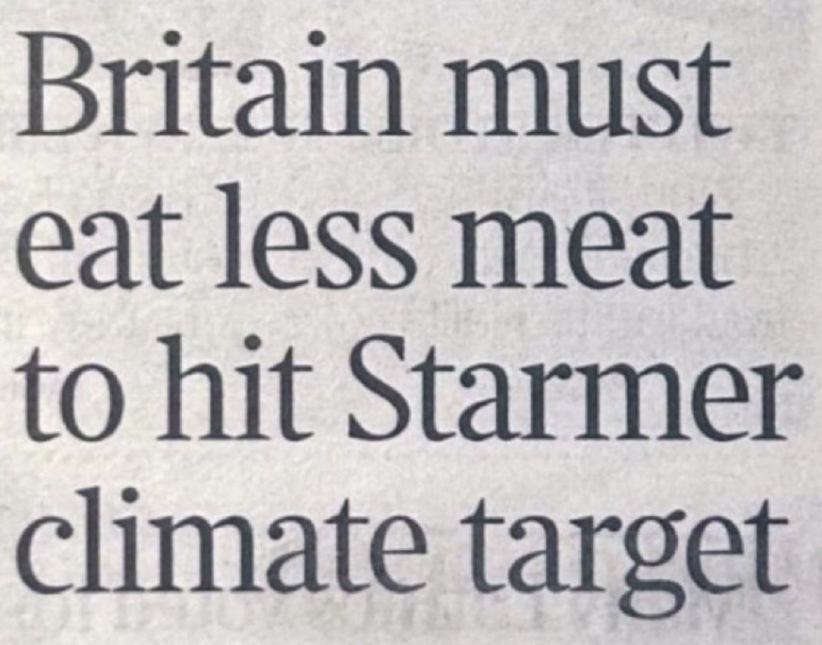 Benonwine tweet media