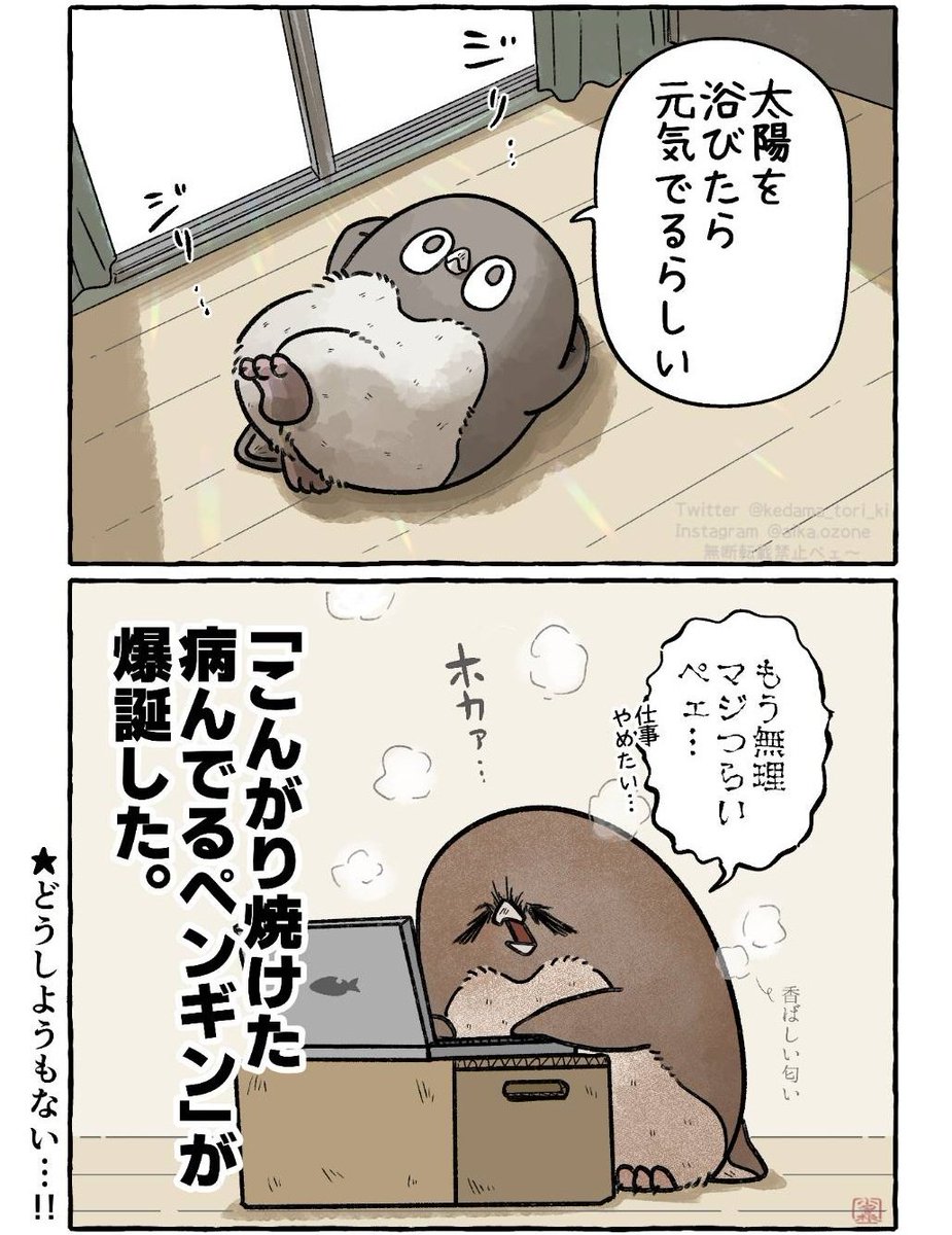 ただ日焼けしただけで虚無
#虚無かわいいアデリーペンギン