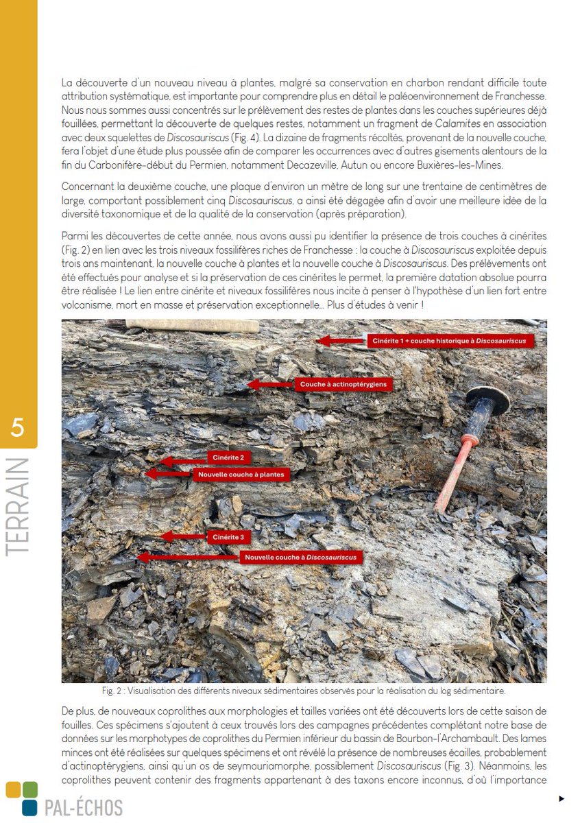 Rhinopolis tweet media